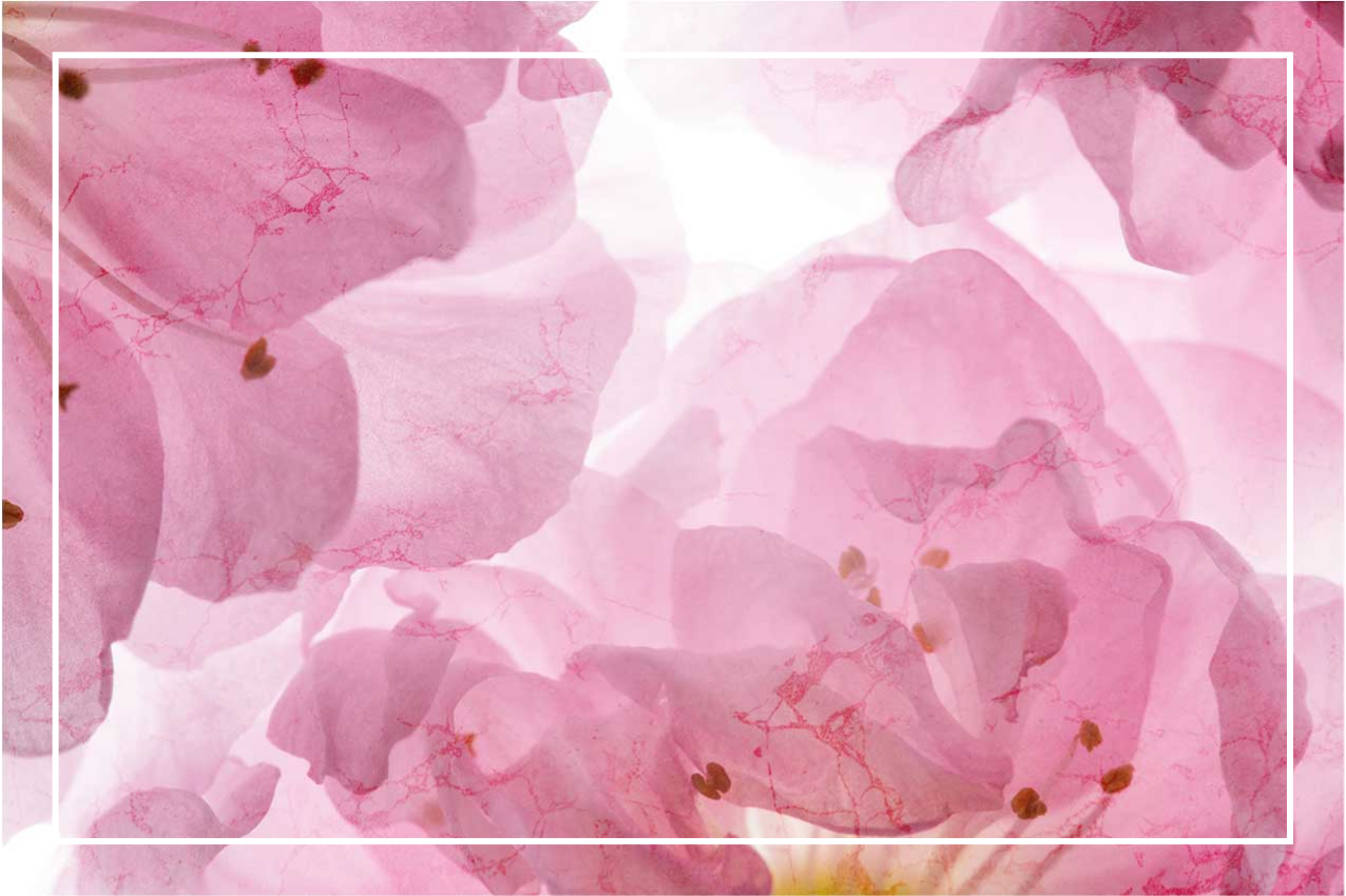 Lyserøde blomster med blade originale dækkeservietter - TenStickers