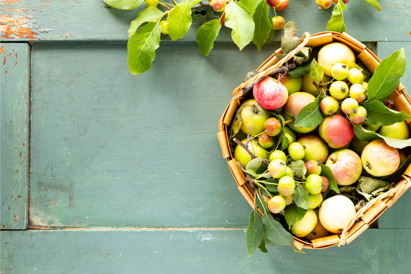 Dækkeserviet til hjem frugtkurv arrangement - TenStickers