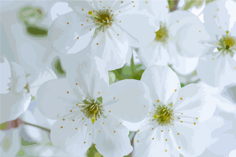 Maleri af hvide blomster dækkeserviet - TenStickers