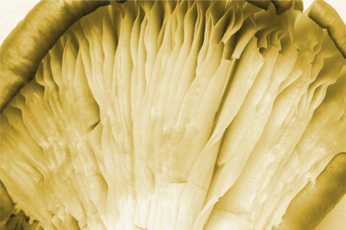 Dækkeserviet med buede bladlag - TenStickers