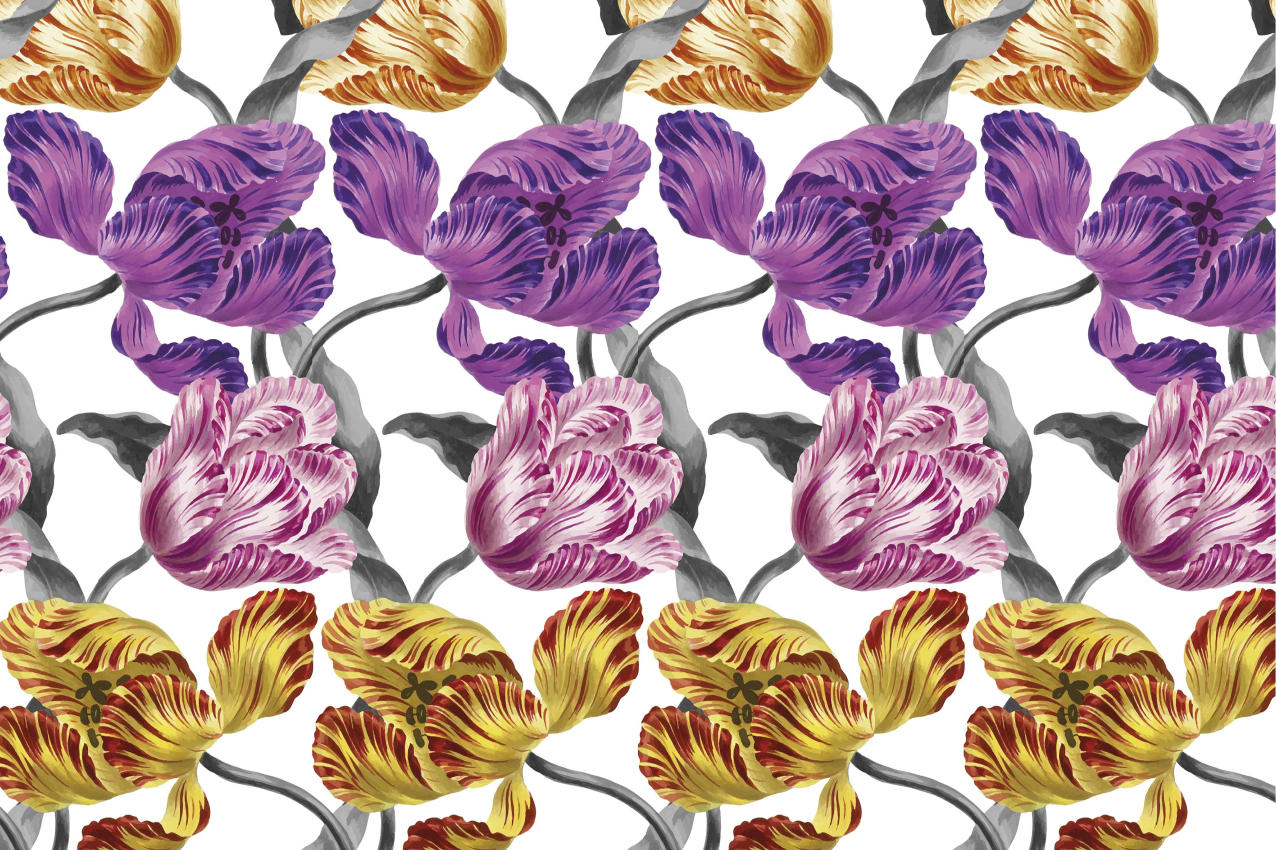 Lilla, gule lyserøde dækkeservietter i tulipanmønster - TenStickers