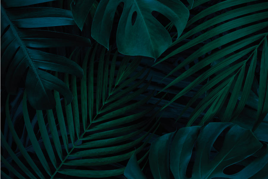 Tropisk blad appeal dækkeserviet - TenStickers