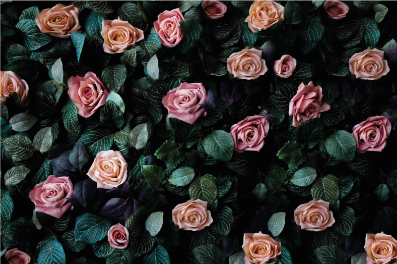 Rød rose blomster originale dækkeservietter - TenStickers