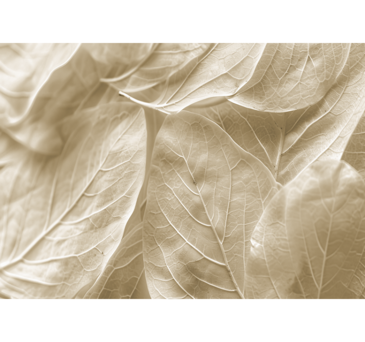 Store beige blade fototapet soveværelse - TenStickers