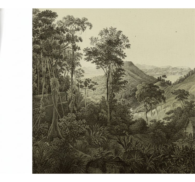 Fototapet skov højdedrag i skoven - TenStickers