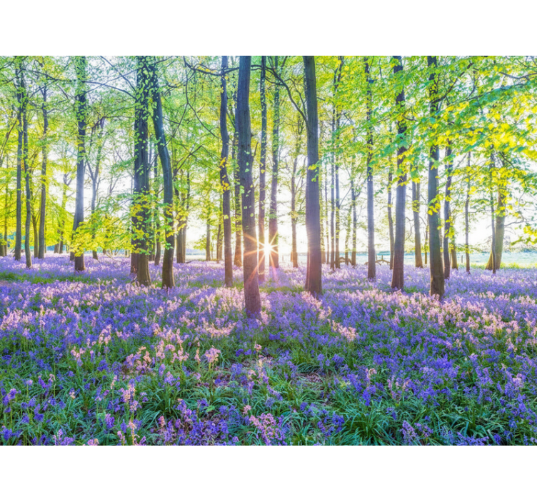 Fototapet skov naturinspireret modernisme - TenStickers