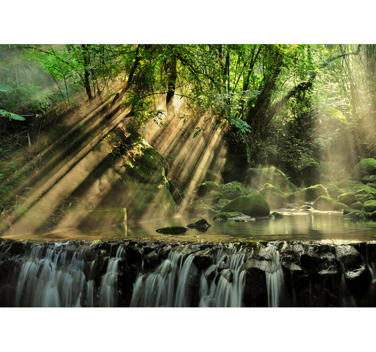 Det hemmelige skovlandskab fototapet - TenStickers