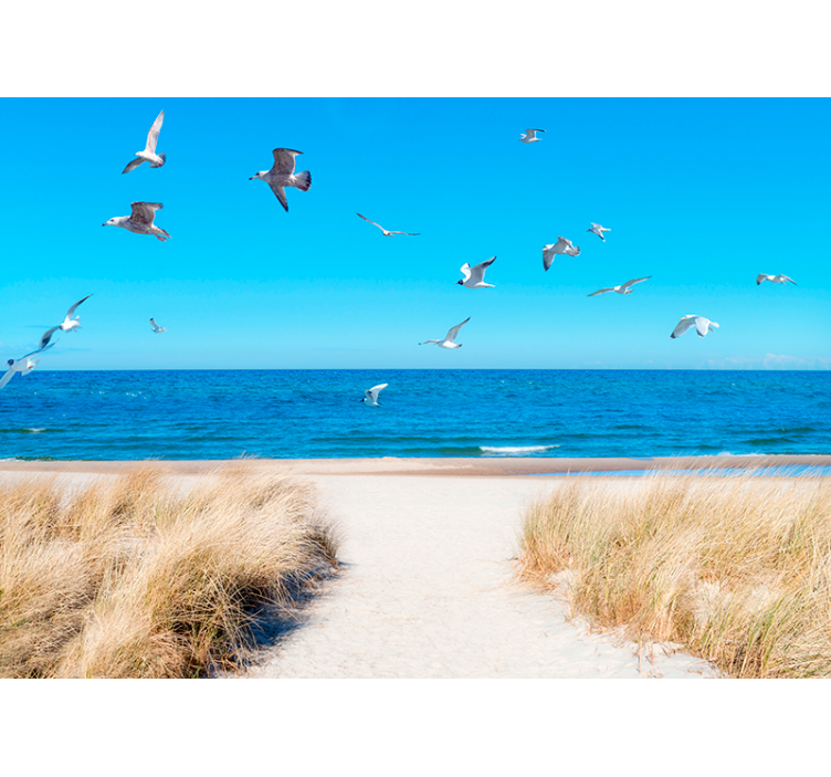 Strand solnedgang fototapet tapet - TenStickers