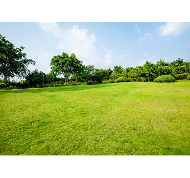 Grøn eng natur fototapet - TenStickers