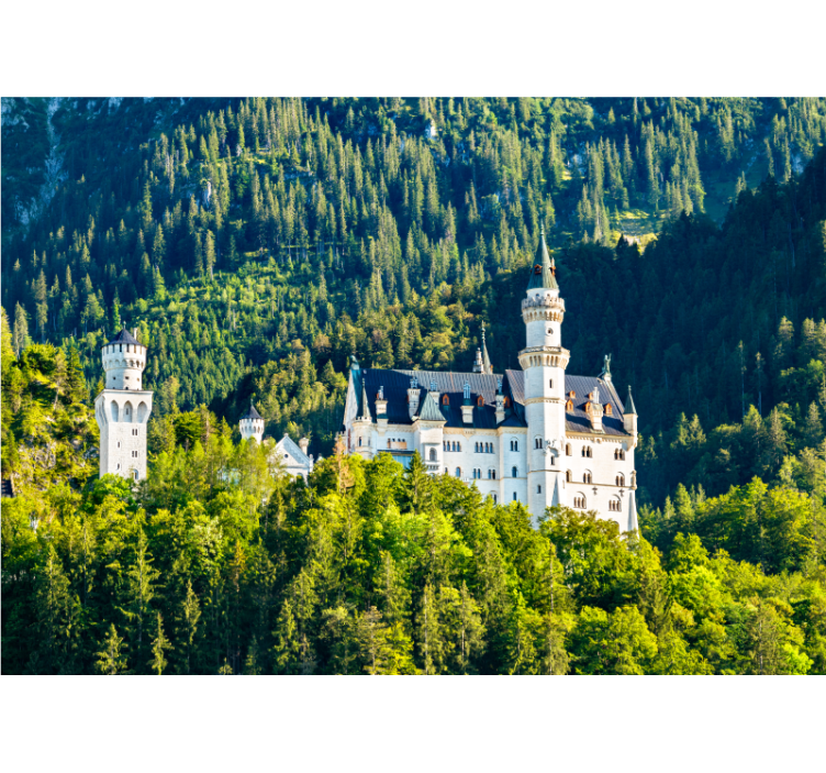 Fototapet af byer neuschwanstein slot udsigt - TenStickers