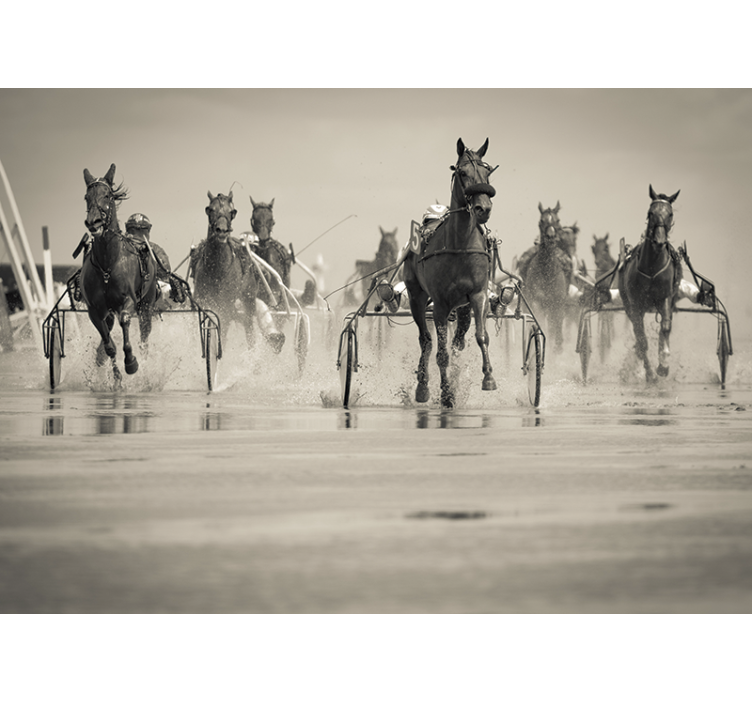 Heste der løber løb sammen fototapet dyr - TenStickers