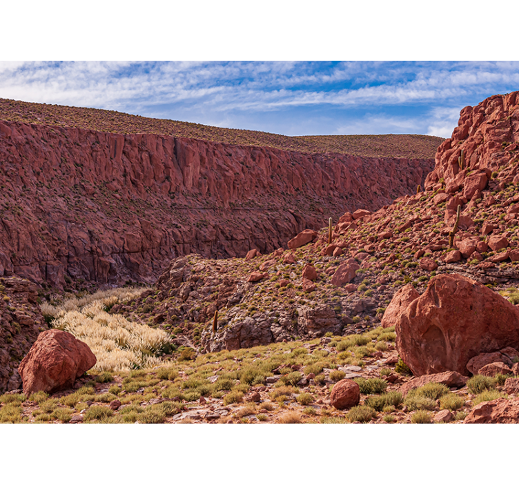 Rød ørkenlandskab fototapet bjerg - TenStickers