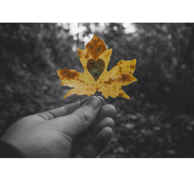 Hjerteformet blad natur fototapet - TenStickers