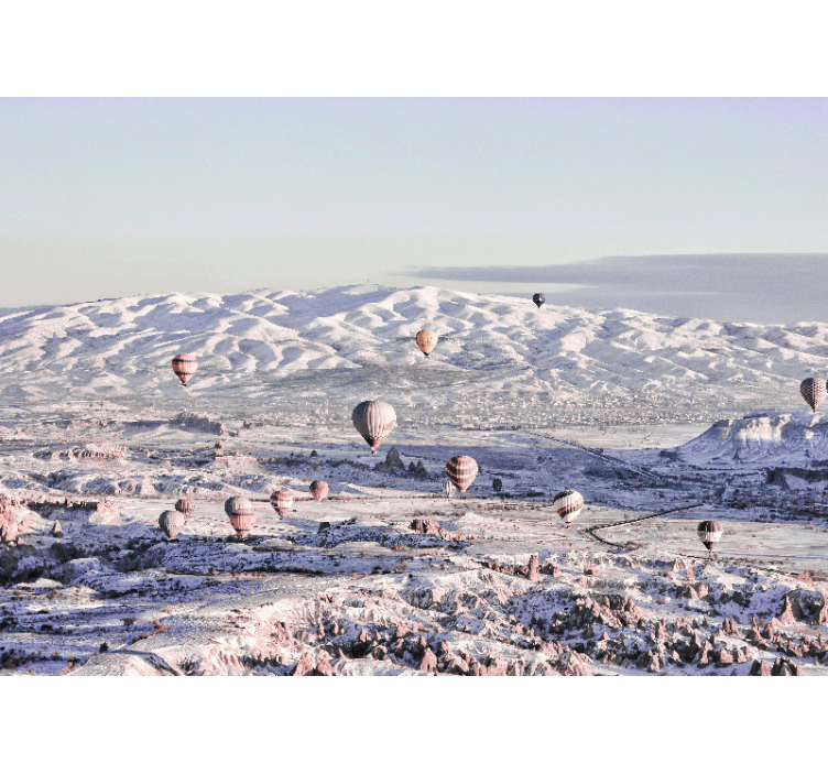 Udsigt med varmluftballoner landskab fototapet - TenStickers