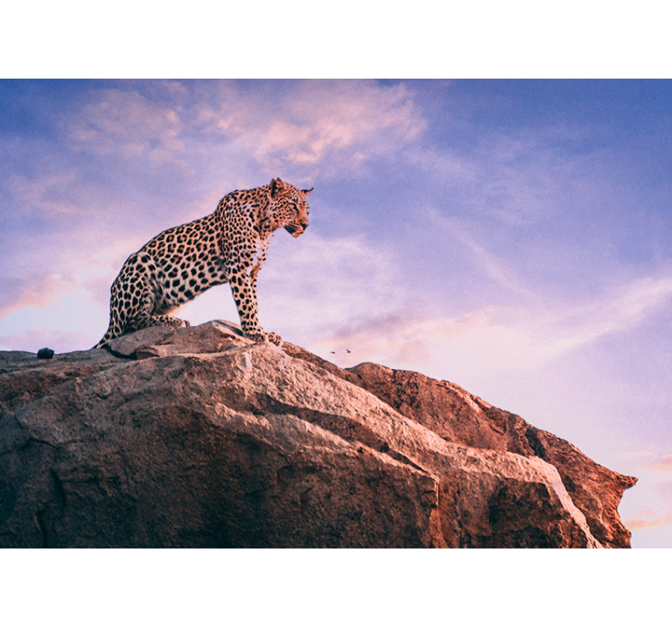 Leopard solnedgang fototapet - TenStickers