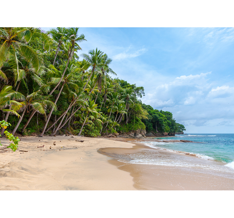 Natur fototapet tropisk kystoase - TenStickers