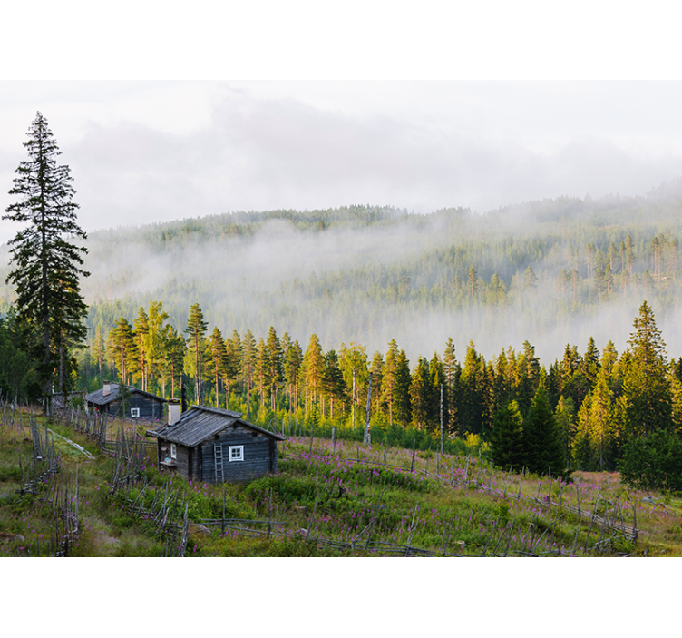 Tågedækket skov landskab fototapet - TenStickers