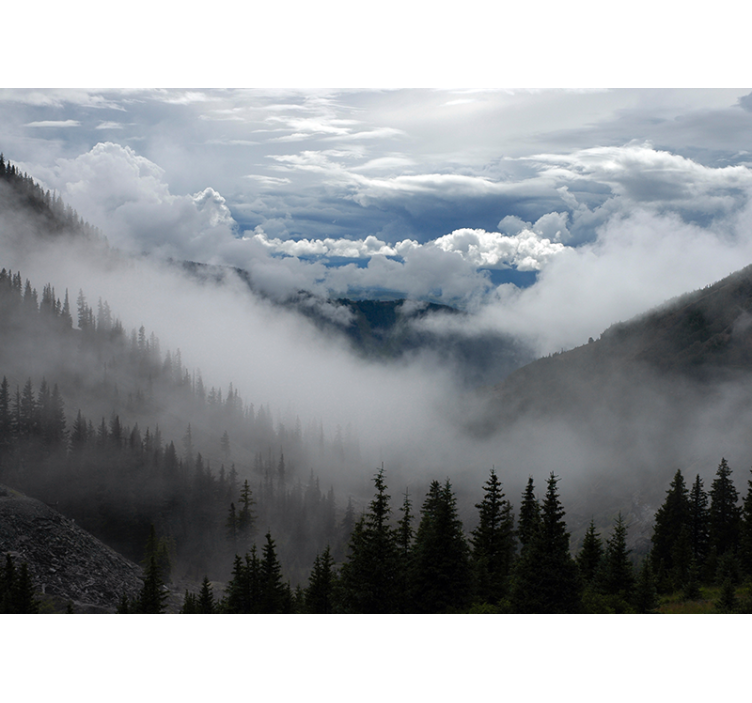 Tåget skovlandskab landskab fototapet - TenStickers