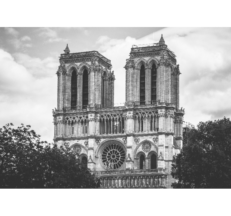 Katedralen notre-dame de paris fototapet - TenStickers