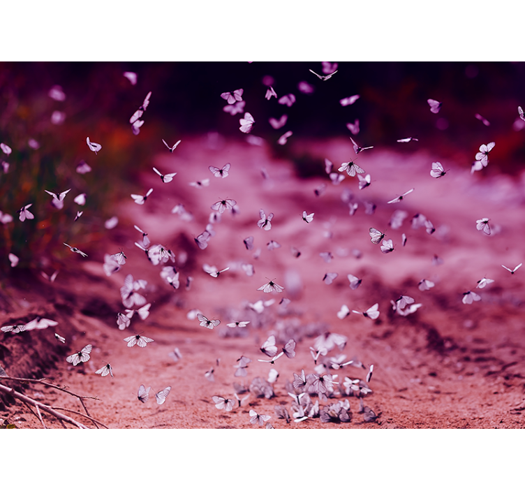 Delikat sommerfugledans fototapet blomster - TenStickers