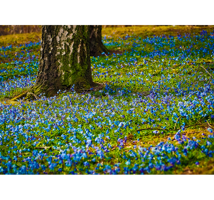 Fototapet blomster blåklokkeenge scene - TenStickers