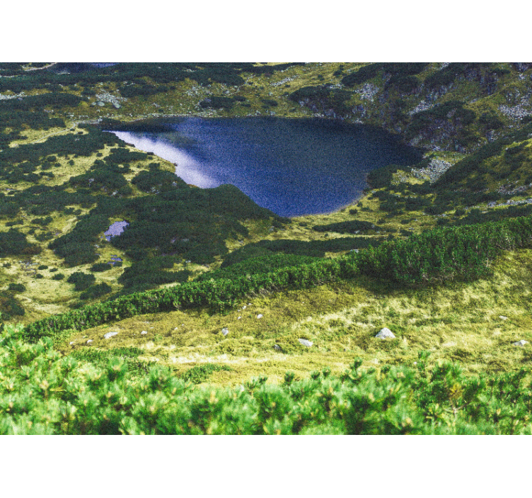 Grøn polsk tatry sø fototapet - TenStickers