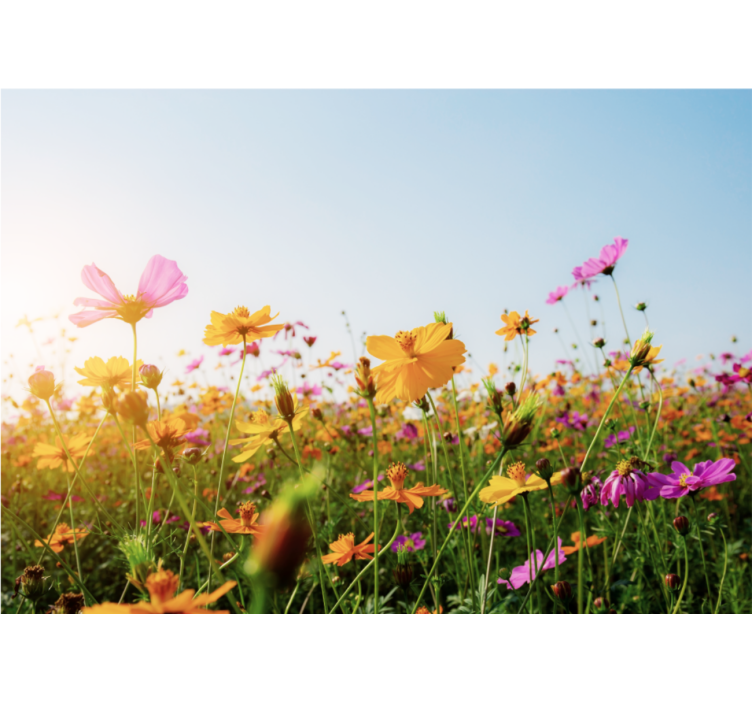 Blanding af blomster typer fototapet - TenStickers