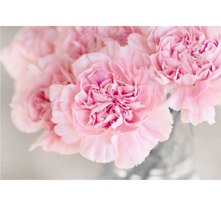 Mange lyserøde nelliker grå baggrund fototapet - TenStickers