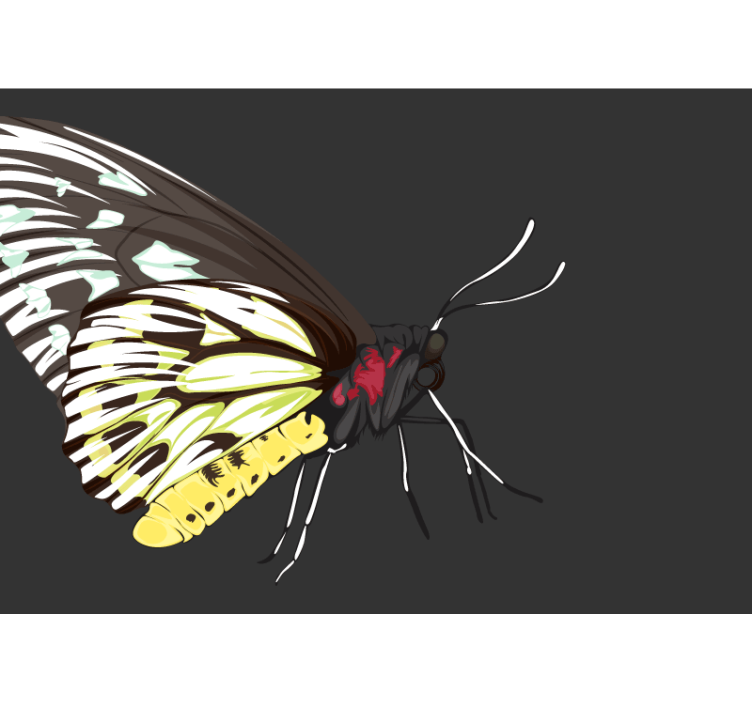 Gul sommerfugl design fototapet strand - TenStickers