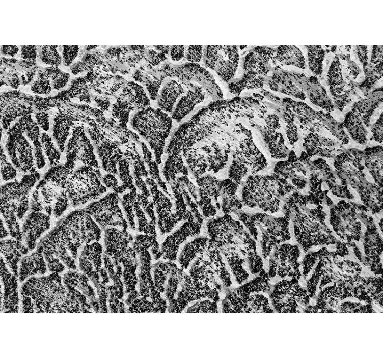 Mønster fototapet med organisk tekstur - TenStickers