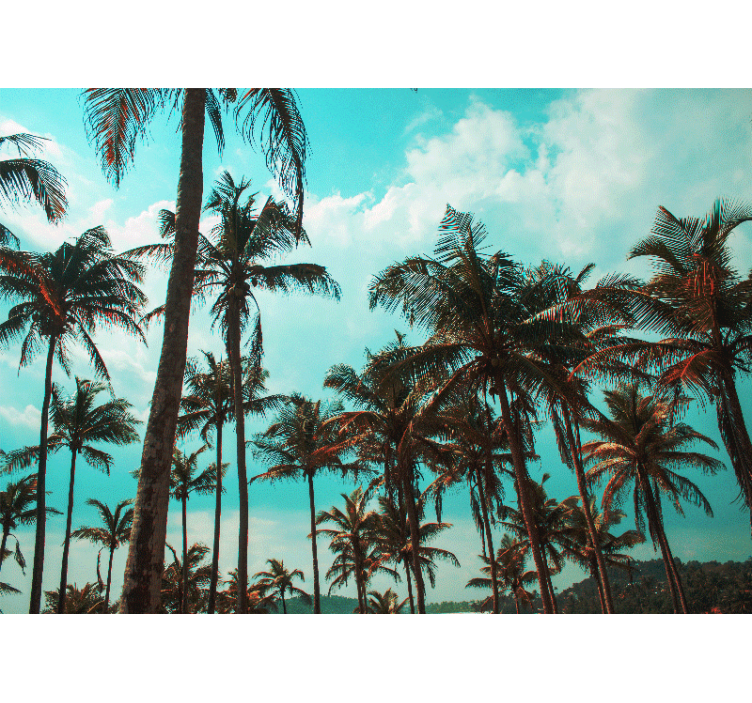 Smukke palmer stille stue fototapet - TenStickers