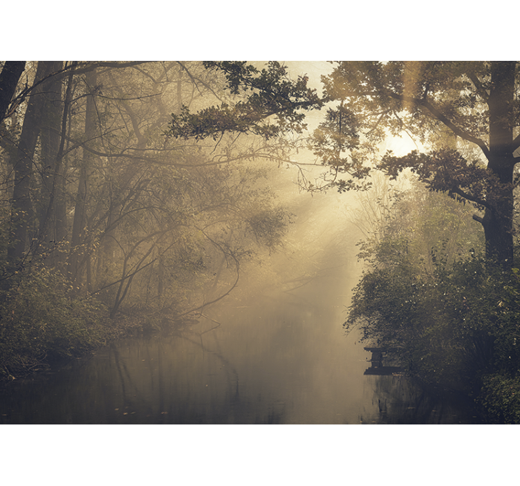 Natur fototapet lysende skovlandskab - TenStickers