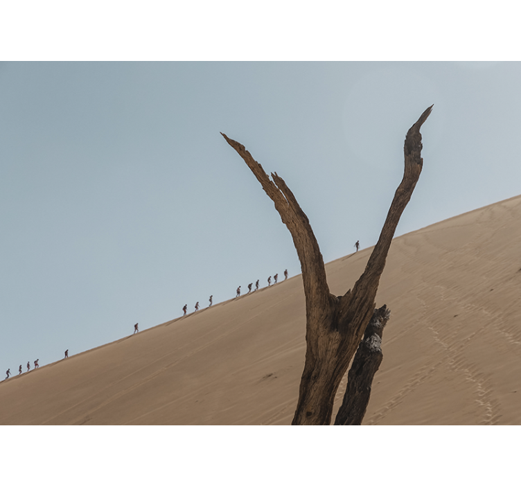 Klitvandrere silhuet fototapet ørken - TenStickers