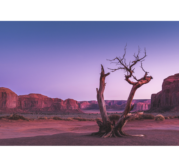 Landskab fototapet ørkenstensstruktur - TenStickers