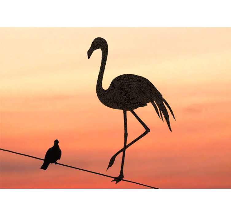 Yndefuld flamingo solnedgang fototapet dyr - TenStickers