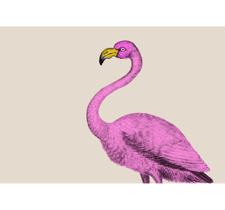 Vintage ansigt af et flamingo fototapet - TenStickers