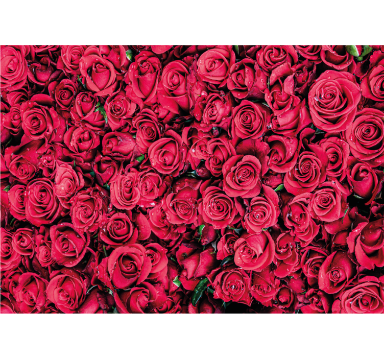 Rose fototapet med livlige rosenblomster - TenStickers