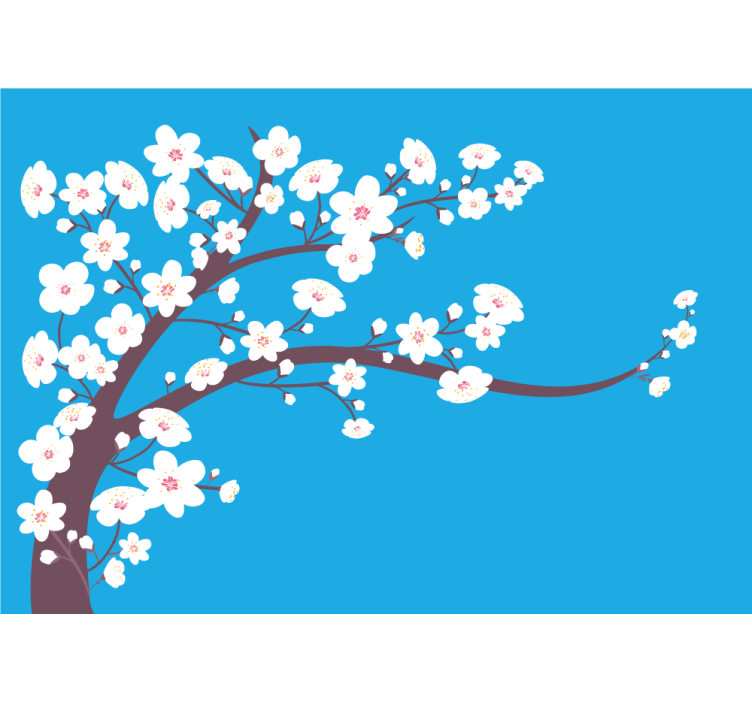 Fototapet blomster sakura blossom gren - TenStickers