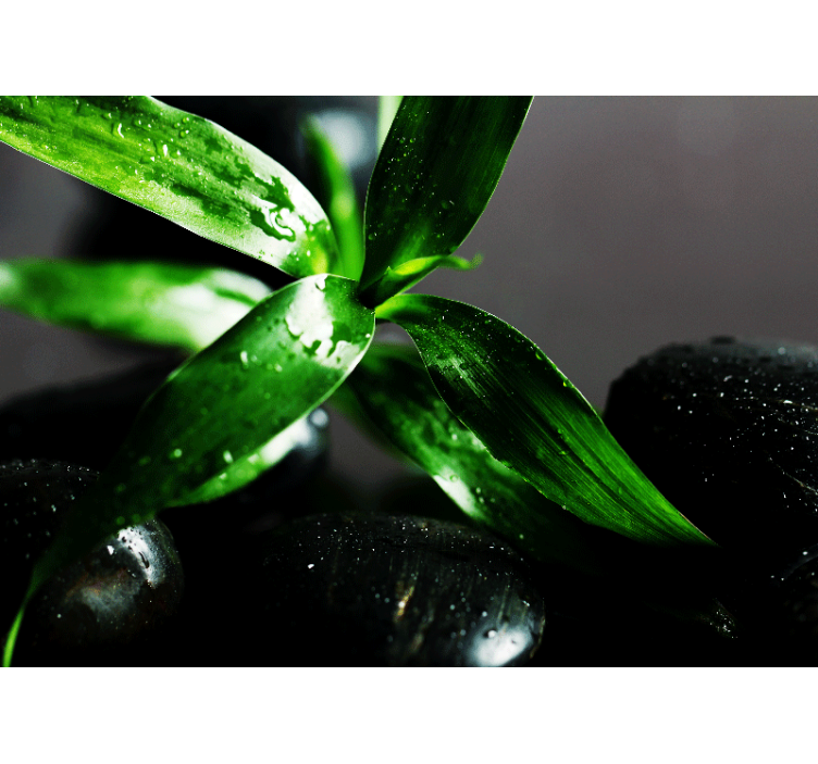 Natur fototapet friske blad tekstur - TenStickers