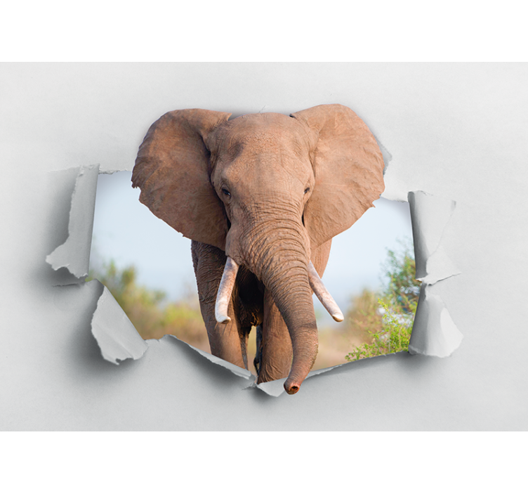 Elefant, der bryder 3d -fototapet - TenStickers