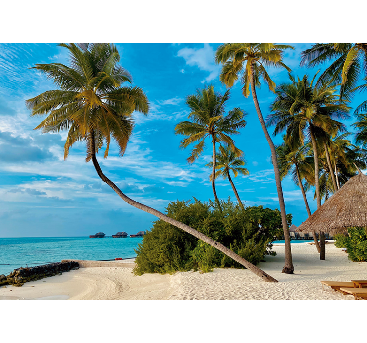 Kokos træ på stranden stue fototapet - TenStickers