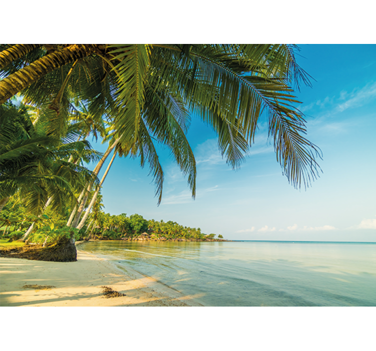 Natur fototapet rolig strandscene - TenStickers