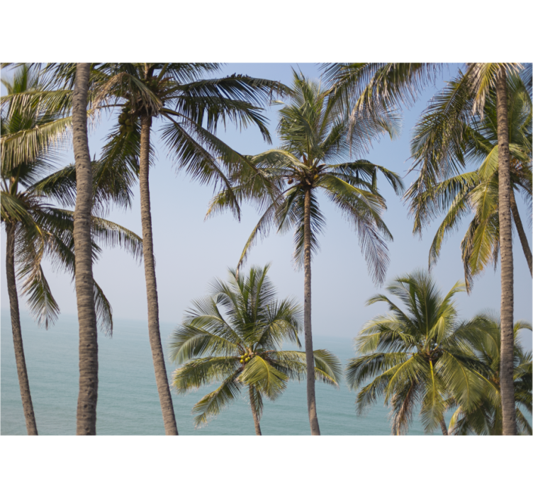 Natur fototapet palmetræer landskab - TenStickers