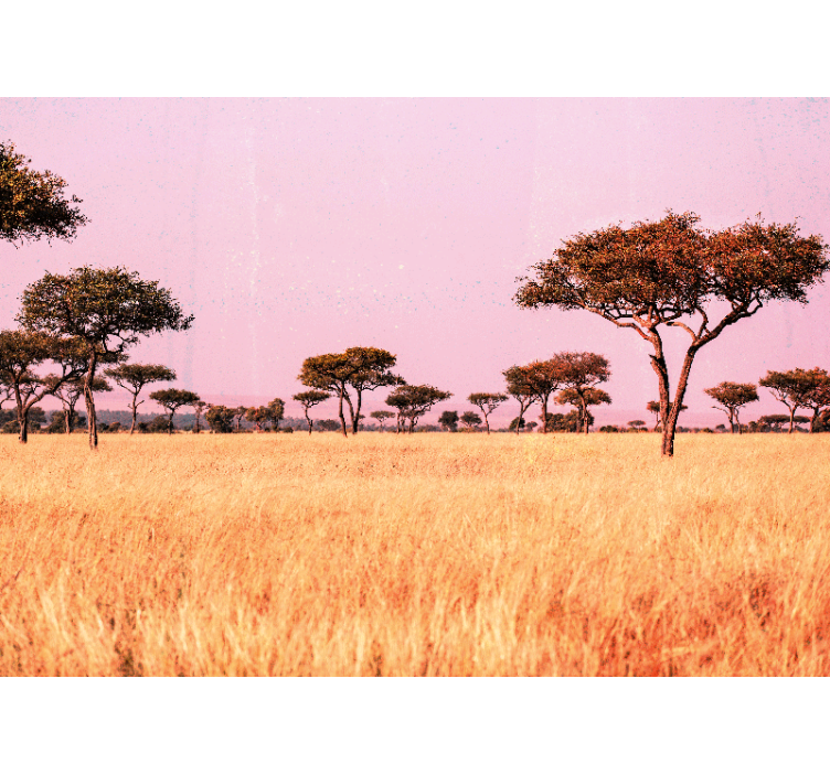 Originale afrikanske savanne africa fototapet - TenStickers