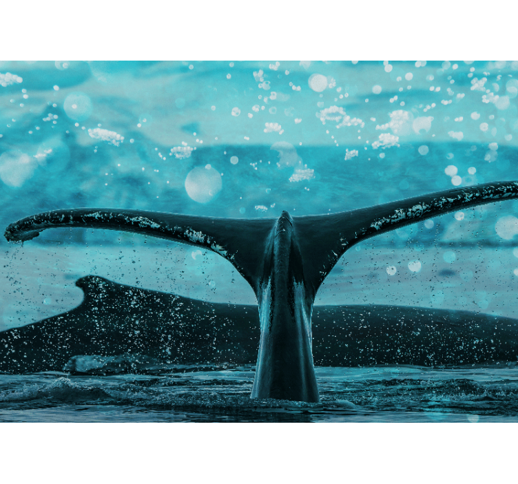 Fototapet dyr hvalefinne sprøjt - TenStickers