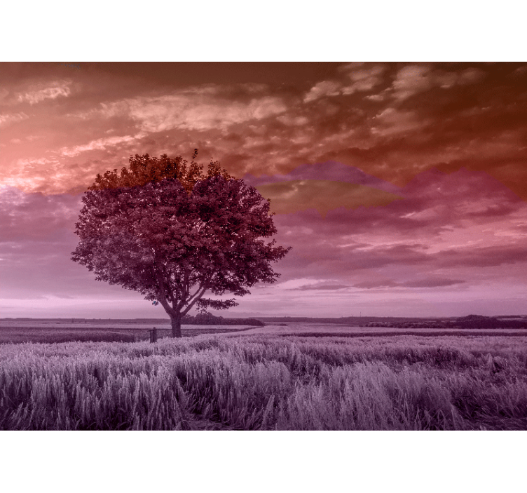 Ensom træ silhuet fototapet skov - TenStickers