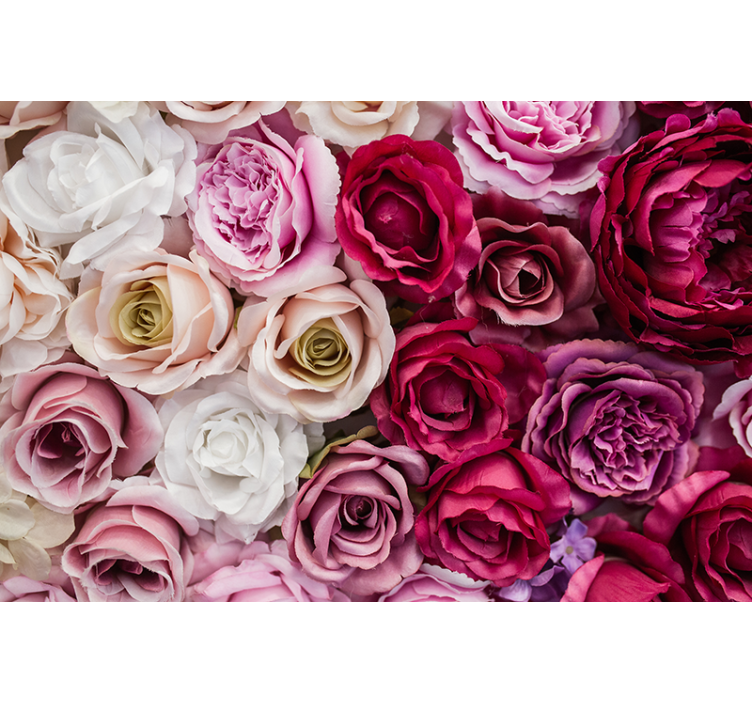 Fototapet blomster smuk rose kollektion - TenStickers