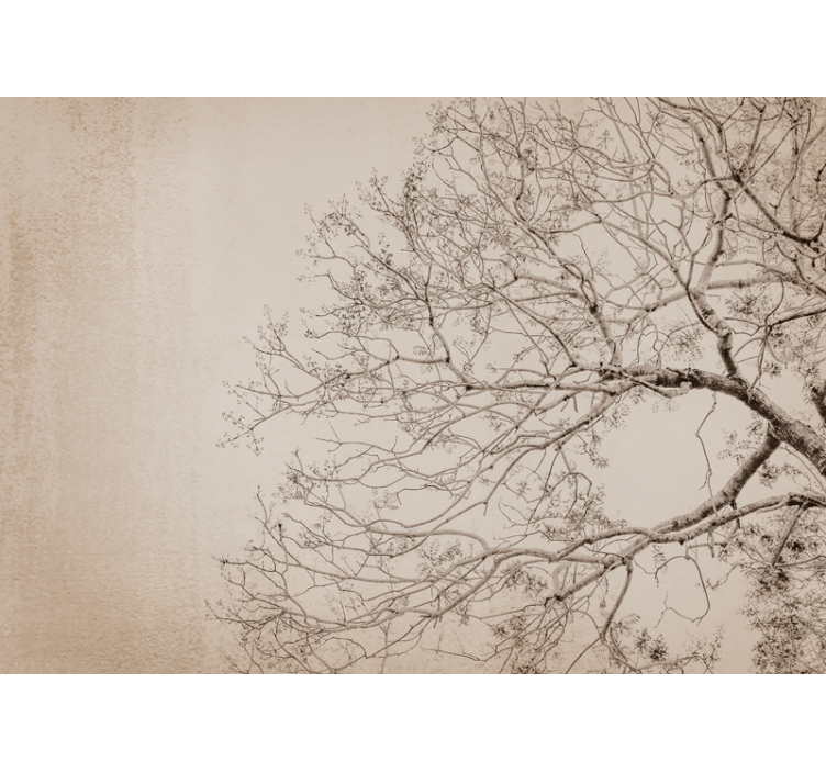 Fototapet træ smuk gren silhuet - TenStickers