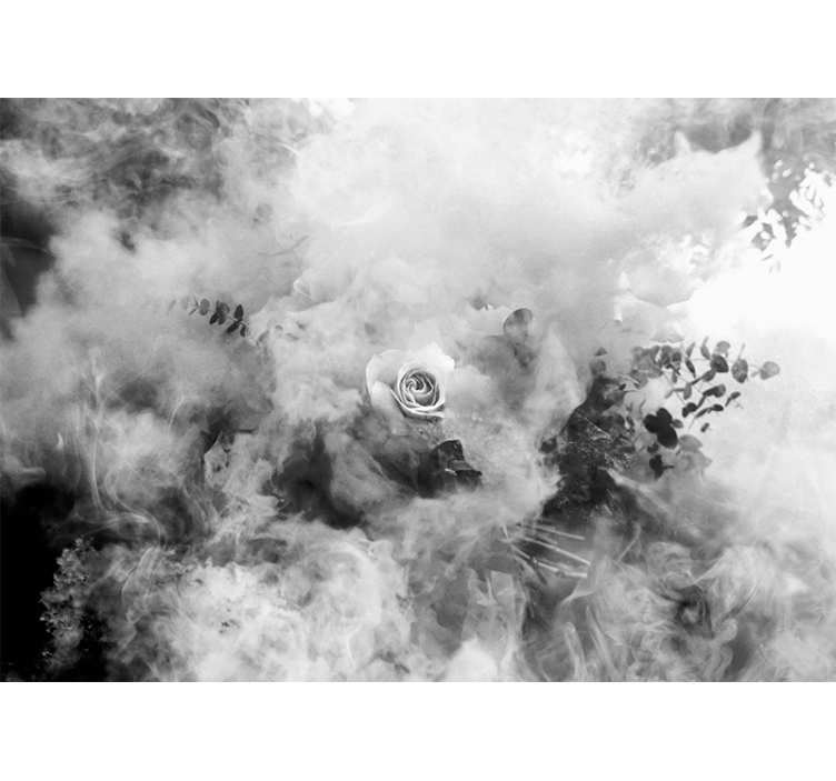 Fototapet blomster himmelsk hvid rose - TenStickers