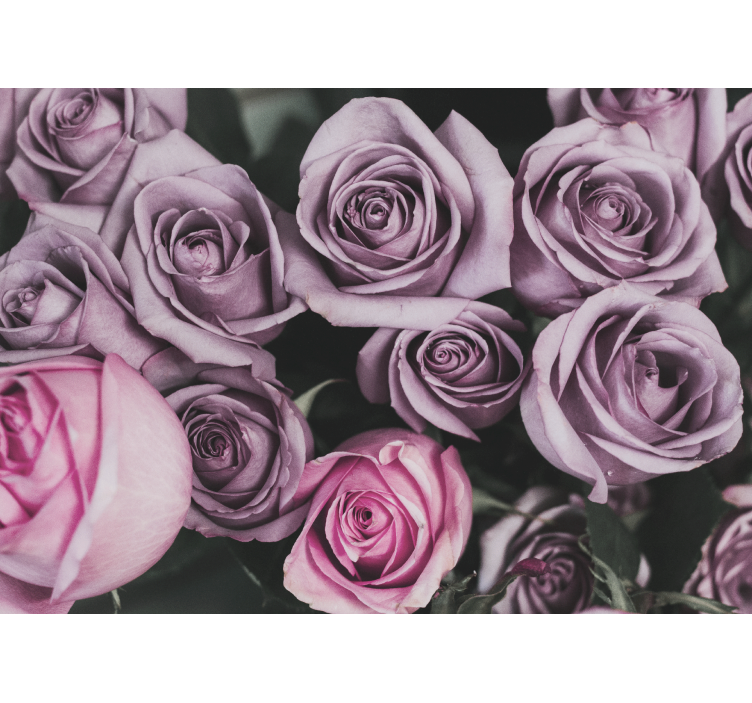 Elegant stil lyserøde roser design fototapet - TenStickers